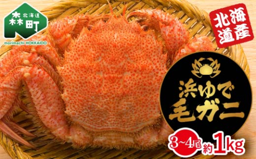 【北海道産】 浜ゆで毛ガニ約1kg（3～4尾入り） mr1-1060 2219441 - 北海道森町