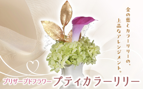 プリザーブドフラワー ギフト プティカラーリリー 【花 フラワー 天然 国産 ギフト プレゼント 記念日 お祝い プチギフト 贈り物 お花 水かえ不要 枯れない プリザーブドフラワー】 2219493 - 兵庫県芦屋市