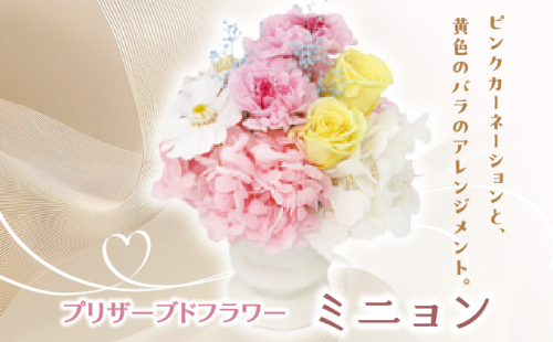 プリザーブドフラワー ギフト ミニョン 【花 フラワー 天然 国産 ギフト プレゼント 記念日 お祝い プチギフト 贈り物 お花 水かえ不要 枯れない プリザーブドフラワー】 2219494 - 兵庫県芦屋市