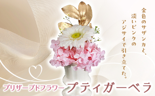 プリザーブドフラワー ギフト プティガーベラ 【花 フラワー 天然 国産 ギフト プレゼント 記念日 お祝い プチギフト 贈り物 お花 水かえ不要 枯れない プリザーブドフラワー】 2219497 - 兵庫県芦屋市