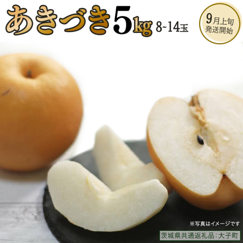 あきづき 約5kg（8～14個）【2026年9月上旬発送開始】(茨城県共通返礼品：大子町) 秋月 梨 なし 果物 くだもの フルーツ 2219510 - 茨城県牛久市