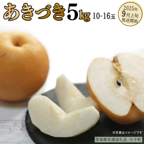 あきづき 約5kg (10～16個)【2025年9月上旬発送開始】(茨城県共通返礼品：大子町) 秋月 梨 なし 果物 くだもの フルーツ 2219510 - 茨城県牛久市