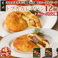 [福袋★2026]カレー専門店☆トプカのチキン南蛮&宮崎牛ローストビーフカレーパン2種12個+2個_AC