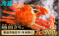 【先行予約】 【12月配送】 越前がに 900ｇ×1杯 小浜市 / まるほ商店 【配送不可地域：北海道・沖縄・離島】[BFCS027-12]