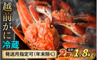 【先行予約】 【12月配送】 越前がに 900ｇ×2杯 小浜市 / まるほ商店 【配送不可地域：北海道・沖縄・離島】[BFCS028-12]