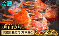【先行予約】 【11月配送】 越前がに 900ｇ×3杯 小浜市 / まるほ商店 【配送不可地域：北海道・沖縄・離島】[BFCS029-11]