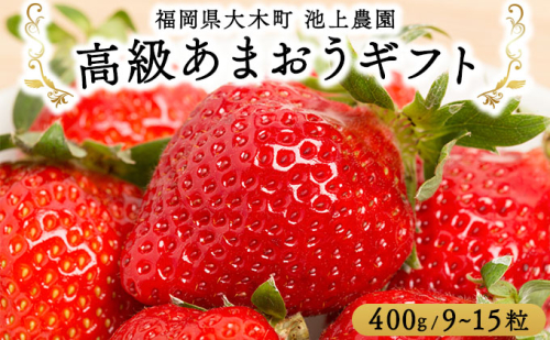 高級あまおうギフト (9～15粒) 400g BD015 2220469 - 福岡県大木町