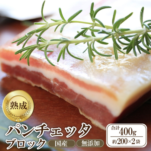 パンチェッタブロック（豚バラ肉の塩漬け）　約200g×2袋
 2220520 - 京都府京丹後市