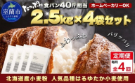 【毎月定期便】北海道産 はるゆたかブレンド小麦粉 シルバーライズ（パン用強力粉）10kg 全4回【ふるさと納税 人気 おすすめ ランキング 小麦 小麦粉 粉 シルバーライズ はるゆたか ブレンド パン用 強力粉 穀物 国産 北海道産 食パン パン こむぎ こむぎこ ギフト 贈答 プレゼント 贈り物 定期便 北海道 室蘭市 送料無料】MROBI032