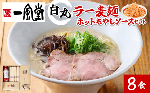 一風堂白丸ラー麦麺ホットもやしソースセット BZ006 2221037 - 福岡県大木町