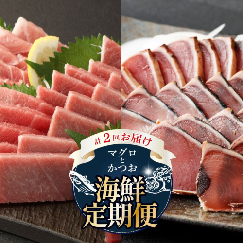 【 全2回定期便 】海鮮 食べ比べ セット 鮪 鰹 定期 セット まぐろ カツオのたたき 本マグロ 中トロ 赤身 刺身 海鮮 鰹 切り落とし 冷凍 海産物 魚介類 高知県 まぐろたたき 鮪 藁焼き わら焼き タカシン定期便 海鮮定期便 頒布会 2221102 - 高知県室戸市