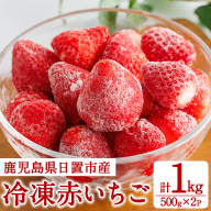 No.646-A 冷凍赤いちご(約500g×2袋・計約1kg) 鹿児島 日置市 加工品 苺 イチゴ 冷凍 果物 フルーツ 小粒 アイス スムージー シロップ ジャム 数量限定 【ままりあ農園】