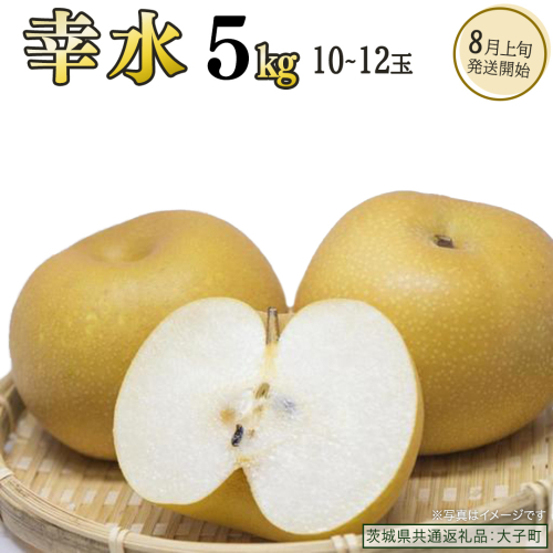 幸水 約5kg (10～12玉)【2026年8月上旬発送開始】(茨城県共通返礼品：大子町) 梨 なし 果物 くだもの フルーツ 2221659 - 茨城県牛久市