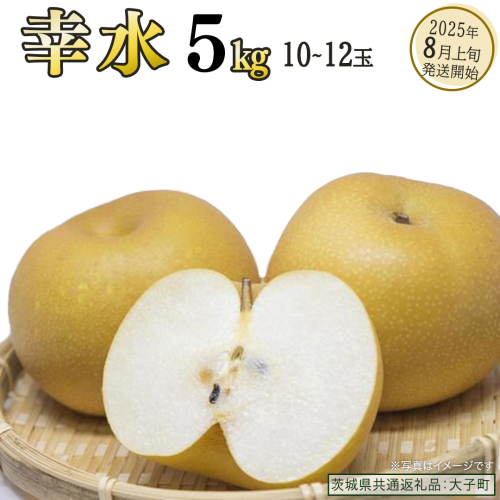 幸水 約5kg (10～12玉)【2025年8月上旬発送開始】(茨城県共通返礼品：大子町) 梨 なし 果物 くだもの フルーツ 2221659 - 茨城県牛久市