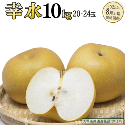 幸水 約10kg (20～24玉)【2025年8月上旬発送開始】(茨城県共通返礼品：大子町) 梨 なし 果物 くだもの フルーツ 2221664 - 茨城県牛久市