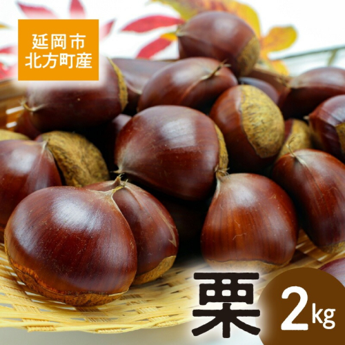 【先行予約】延岡市北方産 栗2kg(2025年8月下旬より発送開始) N048-YA2260
 2221669 - 宮崎県延岡市