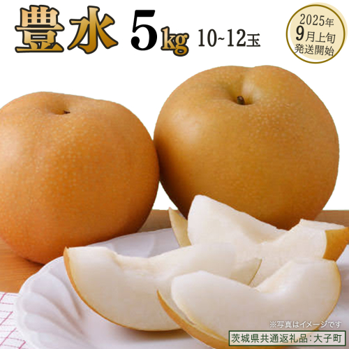 豊水 約5kg (10～12玉)【2025年9月上旬発送開始】(茨城県共通返礼品：大子町) 梨 なし 果物 くだもの フルーツ 2221675 - 茨城県牛久市