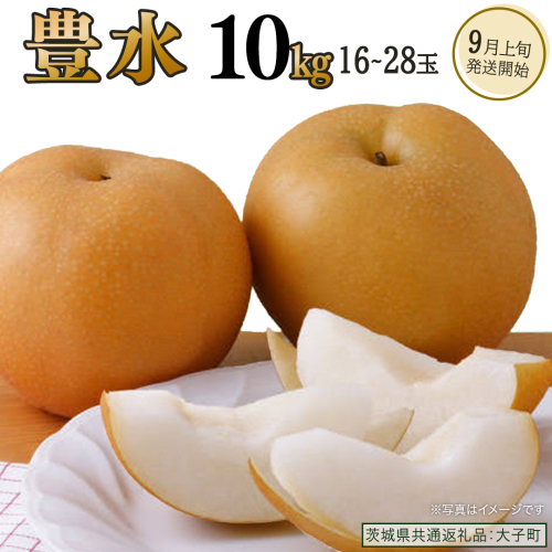 豊水約10kg (16～28玉)【2026年9月上旬発送開始】(茨城県共通返礼品：大子町) 梨 なし 果物 くだもの フルーツ 2221677 - 茨城県牛久市