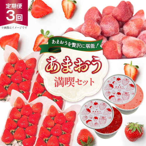 いちご あまおう 満喫セット 3回 定期便 [THE FARM_strawberry 福岡県 宇美町 um40azo780015] 苺 イチゴ 冷凍いちご 冷凍あまおう 甘い あまい アイス ジェラート シャーベット フルーツ 果物 2221981 - 福岡県宇美町