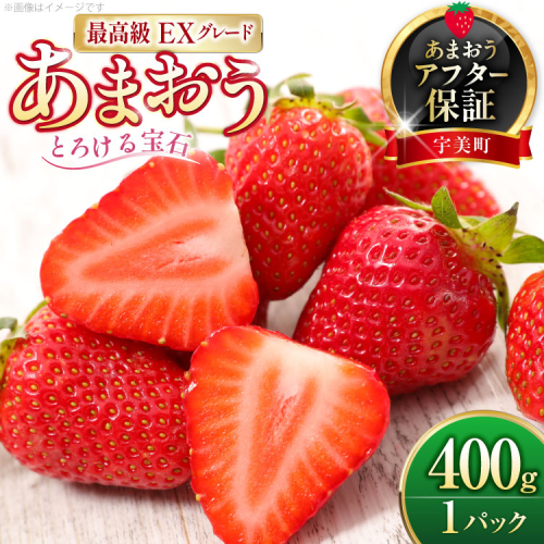 いちご あまおう プレミアムEX 400g 1パック 化粧箱入り[THE FARM_strawberry 福岡県 宇美町 um40azo780014] あまおう 苺 イチゴ 甘い 2221982 - 福岡県宇美町
