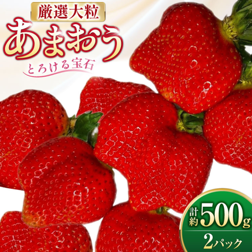 いちご 厳選大粒 あまおう 約250g〜270g 2パック 計約 500g [THE FARM_strawberry 福岡県 宇美町 um40azo780013] あまおう苺 イチゴ フルーツ 果物 くだもの 甘い 2221983 - 福岡県宇美町