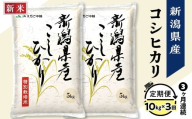 75-7N103【3ヶ月連続お届け】新潟県長岡産コシヒカリ10kg（特別栽培米）【2025年10月中旬発送開始】