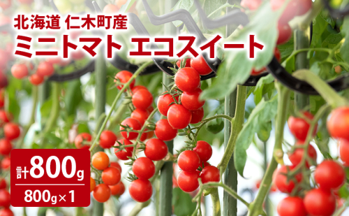 北海道 仁木町産 ミニトマト エコスイート 800g [林果樹園]【トマト ミニトマト エコスイート 高糖度 フルーツトマト 赤 サラダ パスタ スープ 常備菜 産地直送 旬 健康 リコピン ビタミンC 美容】 2222175 - 北海道仁木町