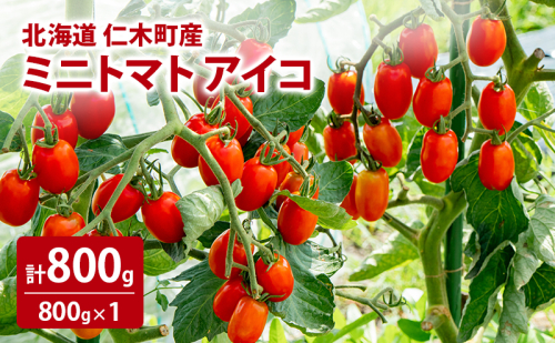 北海道 仁木町産 ミニトマト アイコ 800g [林果樹園]【トマト ミニトマト アイコ 高糖度 フルーツトマト 赤 サラダ パスタ スープ 常備菜 産地直送 旬 健康 リコピン ビタミンC 美容 ダイエット】 2222177 - 北海道仁木町