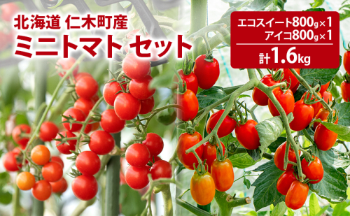 北海道 仁木町産 ミニトマト エコスイート800g・アイコ800g セット [林果樹園]【トマト ミニトマト エコスイート アイコ 高糖度 フルーツトマト 赤 サラダ パスタ スープ 常備菜 産地直送 旬 健康】 2222179 - 北海道仁木町