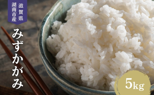 【先行予約受付中】令和7年産 滋賀県産 米 みずかがみ 5kg 2222250 - 滋賀県湖南市
