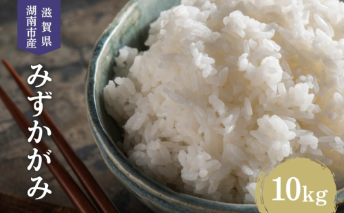 【先行予約受付中】令和7年産 滋賀県産 米 みずかがみ 10kg 2222251 - 滋賀県湖南市