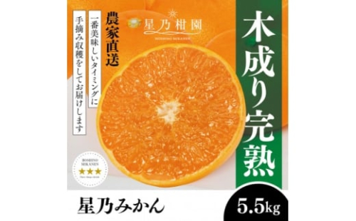＜三つ星ブランド＞星乃みかん(5.5kg)＜C45-99＞【1652556】