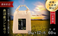 【令和7年産新米】【12ヶ月定期便】魚沼産コシヒカリ 九左衛門の米 5kg（5kg×1袋）
