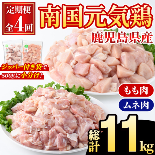 ＜定期便・全4回(隔月)＞鹿児島県産！南国元気鶏 もも肉・ムネ肉定期便(総計11kg) 国産 九州産 鹿児島産 モモ肉 鶏モモ むね肉 胸肉 鶏ムネ 小分け 定期便 おかず おつまみ 【さるがく水産】akn028-42 2222496 - 鹿児島県阿久根市