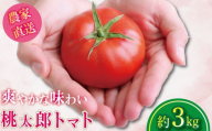 【2026年2月発送】 トマト 約3kg 桃太郎 先行予約  甘い 野菜 やさい 国産 産地直送 数量限定 旬 桃太郎トマト 生野菜 新鮮 ソース 調味料 ケチャップ サラダ 美容 新鮮 健康 お取り寄せ グルメ おすすめ 人気 徳島県 小松島市