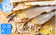 鮎 天然 あゆ 1袋 400g 吉野川産 吉野川 清流 釣り鮎 釣り アユ 魚 魚介 川魚 塩焼き アウトドア バーベキュー BBQ キャンプ 国産 酒 ビール おつまみ 弁当 惣菜 おかず 冷凍 徳島県 三好市 みよし miyoshi