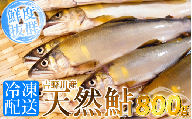 鮎 天然 あゆ 800g 吉野川産 吉野川 清流 釣り鮎 釣り アユ 魚 魚介 川魚 塩焼き アウトドア バーベキュー BBQ キャンプ 国産 酒 ビール おつまみ 弁当 惣菜 おかず 冷凍 徳島県 三好市 みよし miyoshi