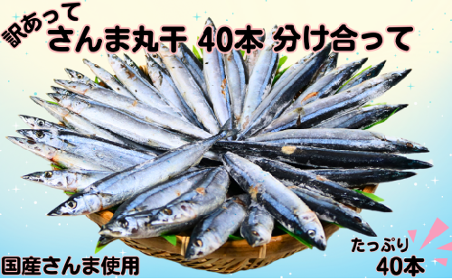 さんま サンマ 秋刀魚 40尾 訳あって さんま丸干 40本 分け合って 訳あり さんま 丸干し 10000円 冷凍 さんま サンマ 秋刀魚 無添加 国産 北海道産 さんま 国内加工 銚子 海の幸 海鮮 干物 冷凍 新鮮 贈り物 ギフト お取り寄せ 人気 グルメ ビール 日本酒 酒 おつまみ 酒の肴 敬老の日 千葉県 銚子市 ヤマニンベン  2222996 - 千葉県銚子市
