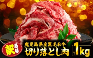 [訳あり]鹿児島県産 黒毛和牛 切り落とし肉 1kg(500g×2P) KN050-042