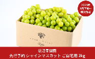 先行予約 シャインマスカット ご自宅用 2kg [8月下旬から発送予定] 令和7年度 自家用 新潟県 三条市産 ぶどう [渡辺果樹園] 【027S040】