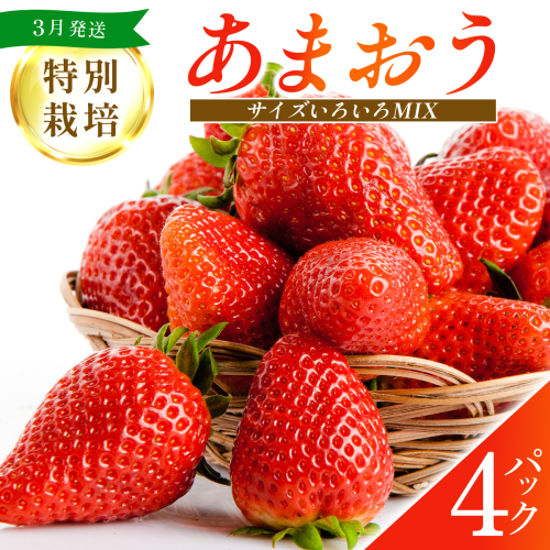 福岡県産 特別栽培 あまおう サイズいろいろMIX 約1140g（約285g×4パック）【3月発送】 | 農園直送 アフター保証 先行予約 福岡産 送料無料 ケーキ ギフト お祝い 限定 季節限定 UN002 2223072 - 福岡県篠栗町