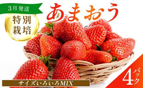福岡県産 特別栽培 あまおう サイズいろいろMIX 約1140g（約285g×4パック）【3月発送】 | 農園直送 アフター保証 先行予約 福岡産 送料無料 ケーキ ギフト お祝い 限定 季節限定 UN002 2223072 - 福岡県篠栗町
