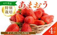 福岡県産 特別栽培 あまおう サイズいろいろMIX 約1140g（約285g×4パック）【4月発送】 | 農園直送 アフター保証 先行予約 福岡産 送料無料 ケーキ ギフト お祝い 限定 季節限定 UN003