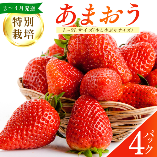 福岡県産 特別栽培 あまおう L～2Lサイズ（少し小ぶりサイズ）約1140g（約285g×4パック）【2～4月発送】 | 農園直送 アフター保証 先行予約 福岡産 送料無料 ケーキ ギフト お祝い 限定 季節限定 UN004 2223106 - 福岡県篠栗町