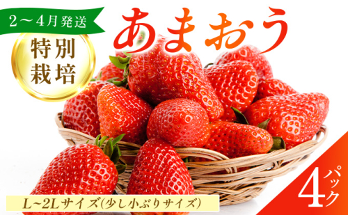 福岡県産 特別栽培 あまおう L～2Lサイズ（少し小ぶりサイズ）約1140g（約285g×4パック）【2〜4月発送】 | 農園直送 アフター保証 先行予約 福岡産 送料無料 ケーキ ギフト お祝い 限定 季節限定 UN004 2223106 - 福岡県篠栗町