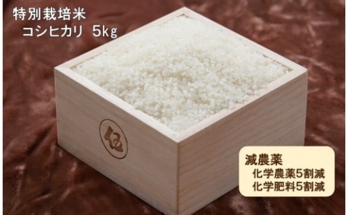 【B52】令和４年産　西予市宇和町産特別栽培米コシヒカリ5kg 222313 - 愛媛県西予市
