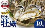 ＜先行受付スタート＞【2025年12月下旬発送】日生 牡蠣 10kg （発泡スチロールにてお届け！）【生鮮 牡蠣 10kg 日生産 ひなせ カキ かき 海のミルク 加熱用】