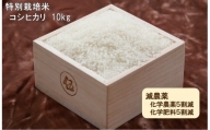 令和５年産　西予市宇和町産　特別栽培米コシヒカリ10kg