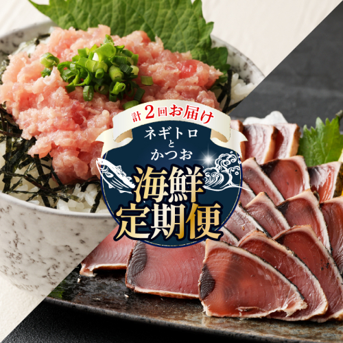 【 全2回定期便 】ネギトロ と カツオ の 定期便 海鮮 鮪 鰹 定期 セット まぐろ カツオのたたき ネギトロ 中トロ 刺身 海鮮 鰹 冷凍 魚 海産物 魚介類 高知県 まぐろたたき 鮪 藁焼き わら焼き タカシン定期便 海鮮定期便 頒布会 2223320 - 高知県室戸市