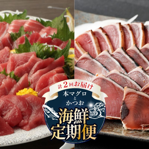 【 全2回定期便 】本マグロ と カツオ の 定期便 海鮮 鮪 鰹 定期 セット まぐろ カツオのたたき 本マグロ 中トロ 赤身 刺身 海鮮 鰹 小分け 冷凍 魚 海産物 魚介類 高知県 まぐろたたき 鮪 藁焼き わら焼き タカシン定期便 海鮮定期便 頒布会 2223321 - 高知県室戸市